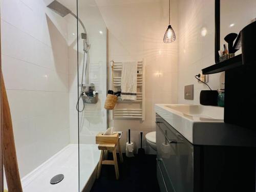 une salle de bain avec une douche, des toilettes et un lavabo dans l'établissement Atelier d'artiste, à Bordeaux