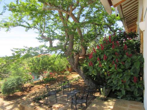 a group of chairs sitting under a tree with flowers at Casa Barichara Boutique in Barichara