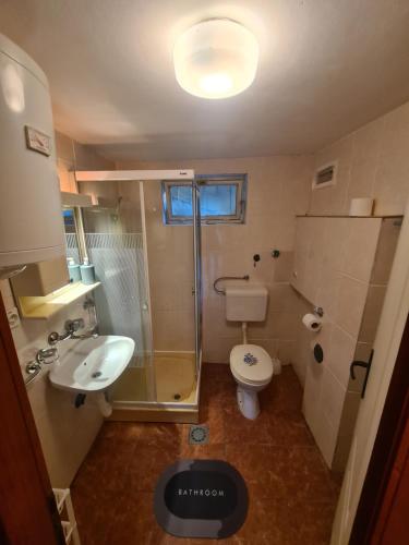 een badkamer met een douche, een toilet en een wastafel bij Vila Lekic - Srebrno jezero in Veliko Gradište