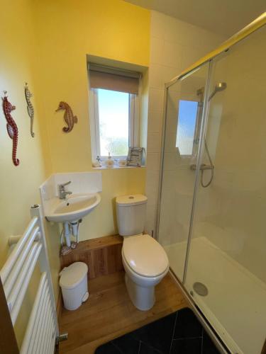 a bathroom with a toilet and a sink and a shower at Grandma's Honeycomb Cottage - a quiet, charming, cosy retreat in the countryside only 2 miles from one of Cornwall's best beaches in Truro