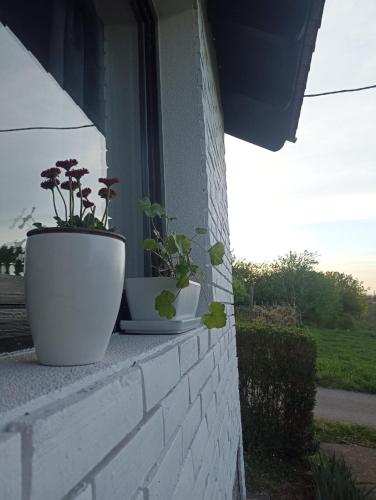 Gallery image of Breza Vacation Home in Jerinića Mala