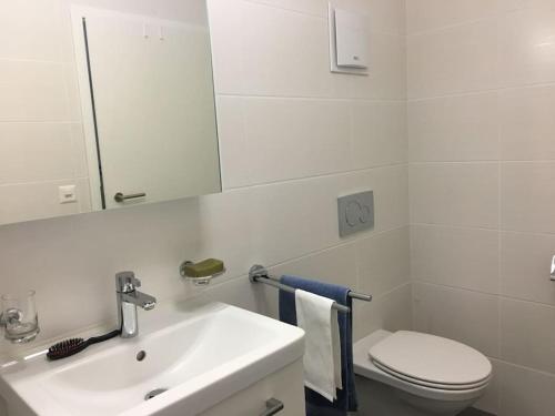 a bathroom with a sink and a toilet and a mirror at Modern apartment easy commute, Geneva & Nyon 75m2 in Founex