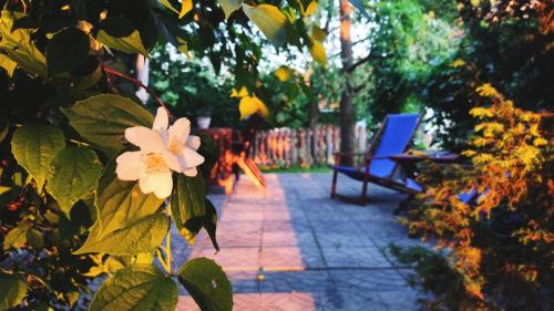 Taman di luar Przytulia - chata na bezdrożach Roztocza