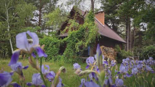 Taman di luar Przytulia - chata na bezdrożach Roztocza