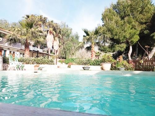 una piscina en un patio con palmeras en Appartamento•Palermo, en Torretta