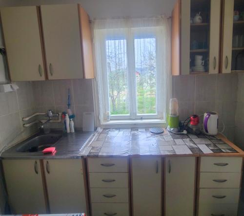 une cuisine avec un évier et une fenêtre dans l'établissement Nada, à Vrnjačka Banja