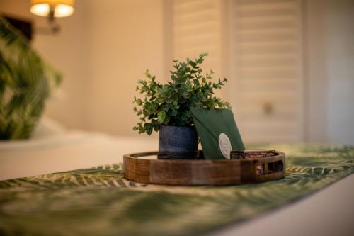 Ένα ή περισσότερα κρεβάτια σε δωμάτιο στο Andrews Inn & Garden Cottages