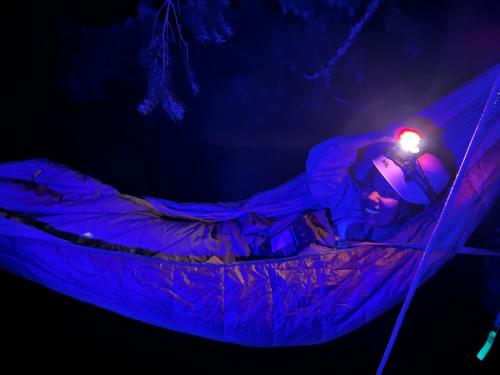 a man laying in a hammock with a light on it at Tree Climbing at Silver Falls in Sublimity