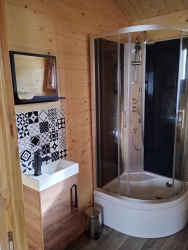 a bathroom with a shower and a sink at Sasinowe Domki Nad Jeziorem in Małdyty