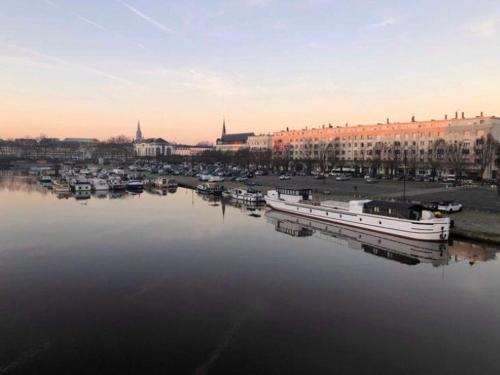un port avec des bateaux dans l'eau avec une ville dans l'établissement Grande suite avec terrasse sur le fleuve, à Nantes