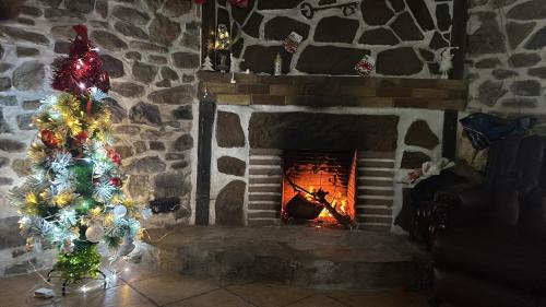 a fireplace with a christmas tree in front of it at K13 in Concha