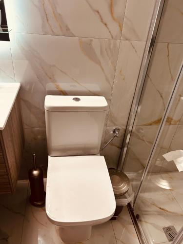 a white toilet in a bathroom with marble walls at Central House Karistos Two in Karistos