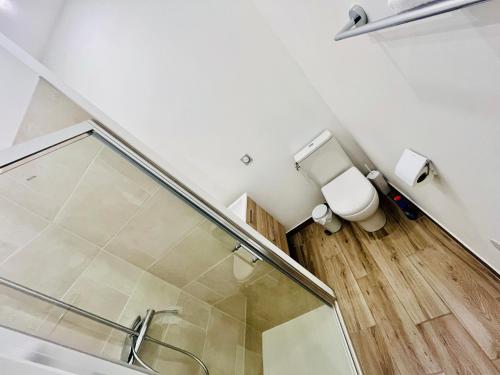 une salle de bain avec une douche en verre et des toilettes dans l'établissement Hypercentre, spacieux, familial, l'Urbain, à Tours