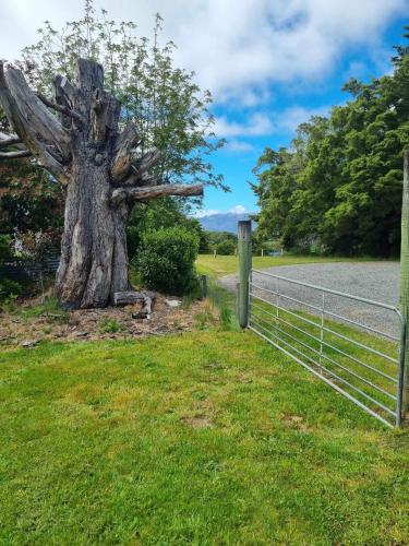 a fence next to a tree next to a road at Cosy Getaway 5mins to Doubtful Sound Cruise in Manapouri