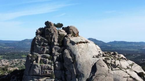 a rock formation with a tree on top of it at Stazzo Casa Bianco Fly in Aggius