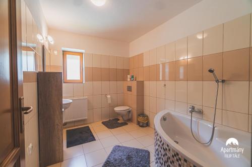 Koupelna v ubytování Apartmány Filip Tále