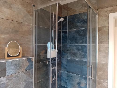 y baño con ducha y puerta de cristal. en Ruhige Einzimmerwohnung, en Flensburg