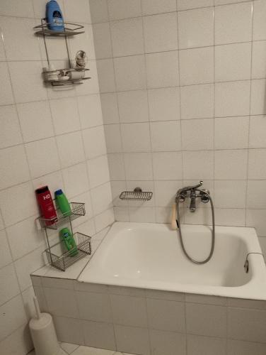 Vonios kambarys apgyvendinimo įstaigoje ENASTRON