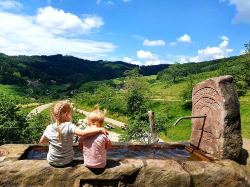 two little girls sitting on a rock looking at a fountain at Ferienhof Fischer in Seebach