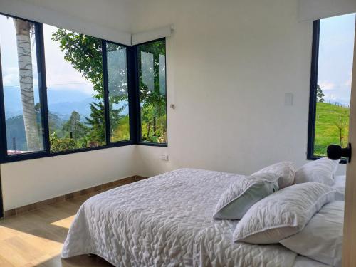 1 dormitorio con 1 cama y ventanas grandes en Cerro Verde Salento, en Salento