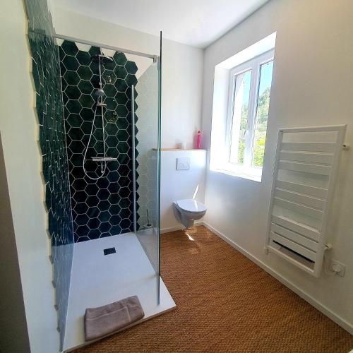 uma casa de banho com um WC e uma cabina de duche em vidro. em Maison d'hôtes entre Gap et Sisteron em Lazer