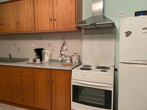 a kitchen with a white stove and a refrigerator at Traditional stone house in Pyrgi in Chios