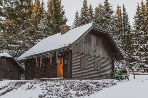 a log cabin with snow on the roof at Apartment Zarja - Trije Kralji in Zgornja Ložnica