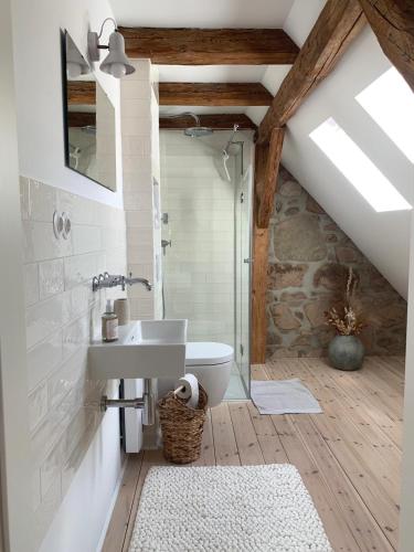 a bathroom with a sink and a toilet in a attic at Pension Pallini in Geiselwind