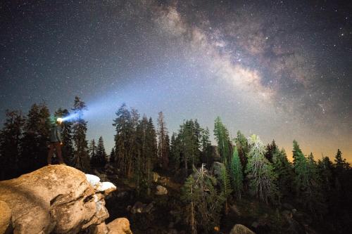 a starry night with a telescope in a forest at Montecito Sequoia Lodge in Sequoia National Park