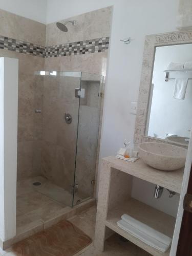 La salle de bains est pourvue d'une douche, d'un lavabo et d'un miroir. dans l'établissement Quinta Zana Hotel Boutique, à Cuernavaca