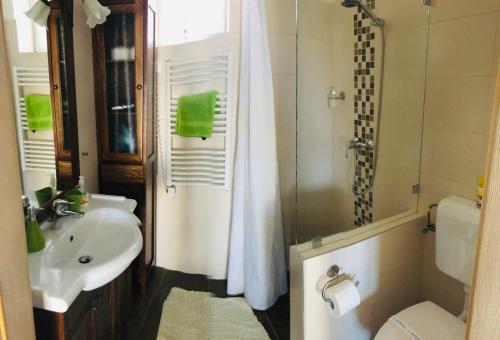 een badkamer met een wastafel, een toilet en een douche bij Panoráma Vendégház in Pécs