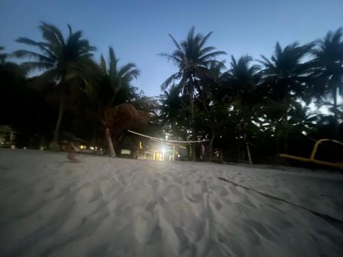 - Vistas a la playa por la noche con palmeras en Da Arreglados’ Beach House, en Abra de Ilog