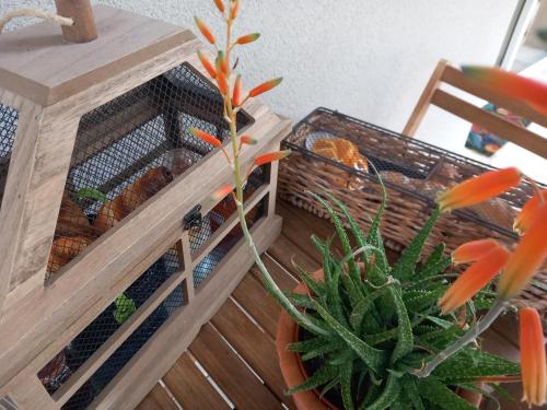 a bird cage with fish in it next to a plant at Millésime in Perville