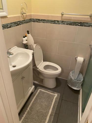 a small bathroom with a toilet and a sink at Alykas Properties in Brooklyn