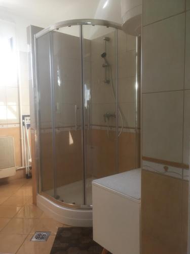 a shower with a glass door in a bathroom at Piroska Vendégház in Nyíregyháza