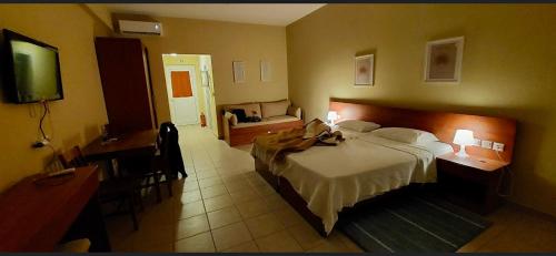 a hotel room with a bed and a desk and a television at Boutique Hotel Ileas Village in Arkoudi