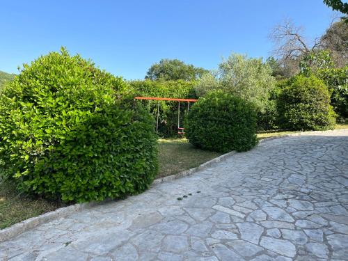 a cobblestone driveway with two large green bushes at Agnanti Zitsas Hotel in Zítsa