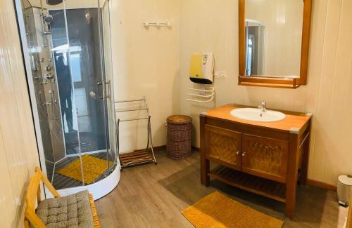 une salle de bain avec une douche, un lavabo et un miroir dans l'établissement La grange à Papillon, à Saint-Ferriol