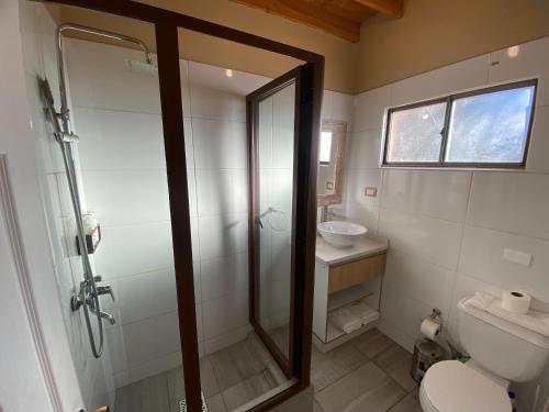 a bathroom with a shower and a toilet and a sink at Tambo Atacama Lodge in San Pedro de Atacama