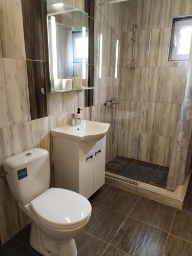een badkamer met een toilet, een wastafel en een douche bij Marko apartman in Surčin