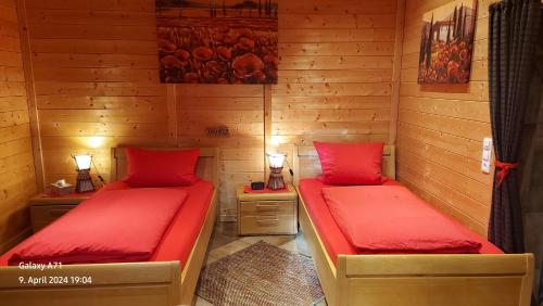 two twin beds in a room with two lamps at Pfalz-Apartment Mein Chalet in Großkarlbach