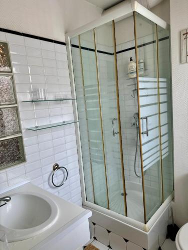 une salle de bain avec douche et lavabo dans l'établissement bel appartement NATION, à Paris