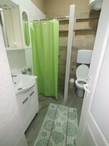 a bathroom with a green shower curtain and a toilet at T.I.M.2 in Bela Crkva