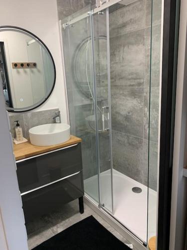 une salle de bain avec une douche avec un lavabo et un miroir dans l'établissement Vannes port - T2 avec wifi - balcon et parking, à Vannes