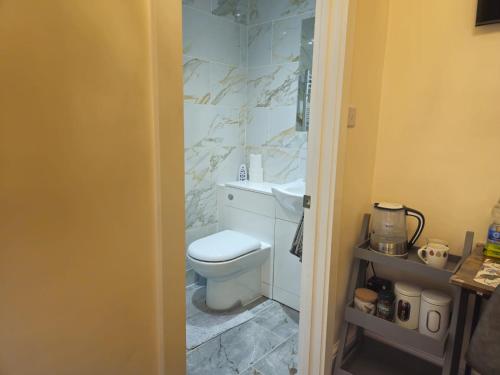 a bathroom with a white toilet and a sink at Modern En-suite Doubles in Boston Town Spacious & Contemporary Rooms in Boston