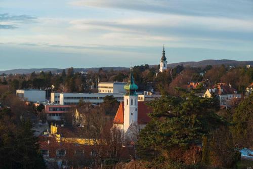 eine Stadt mit einer Kirche mit grünem Dach in der Unterkunft Herrlicher Ausblick über Wien in Wien