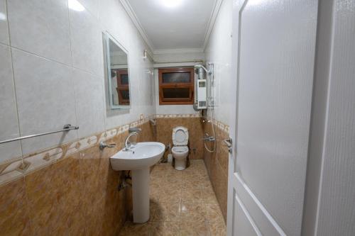 a small bathroom with a toilet and a sink at luxury Heliopolis gem in Cairo