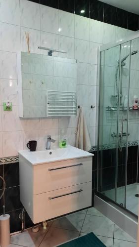 a bathroom with a sink and a glass shower at Apartament Senator Stężyca in Stężyca