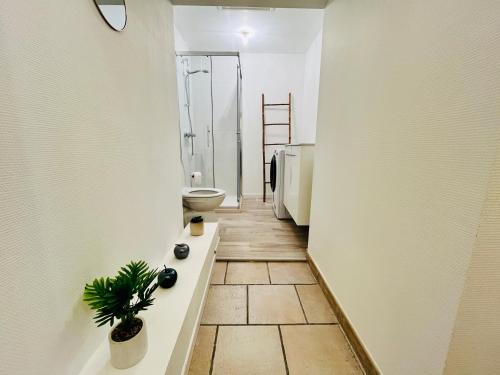 bagno con servizi igienici e pianta di Le Choiseul - T5 entre Loire et Château Royal - Manoir de la Concorde a Amboise