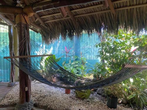 a hammock in a room with a large aquarium at Holiday Home Mauras Tropical in Puntarenas